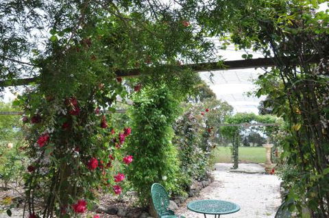 Fairy Wren Cottage Country To Coast Retreat - Maitland Accommodation 1