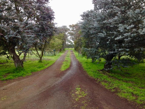Fairy Wren Cottage Country To Coast Retreat - Maitland Accommodation 4