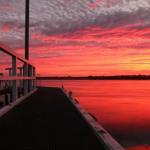 Fairy Wren Cottage Country To Coast Retreat - Maitland Accommodation 0