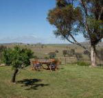Wantana Cottage Farmstay - Maitland Accommodation