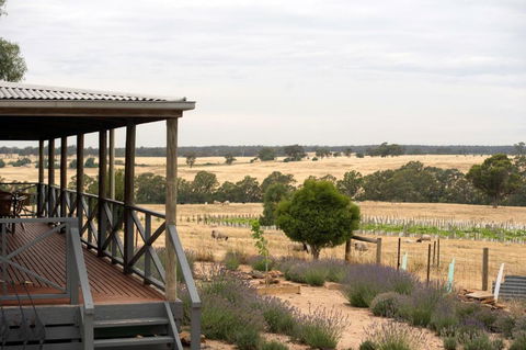 Gilgraves Vineyard Farmstay - Maitland Accommodation 2