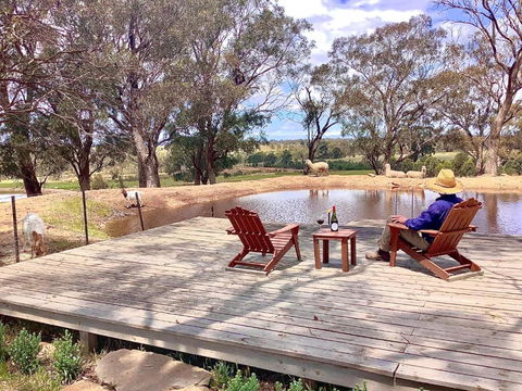 Gilgraves Vineyard Farmstay - Maitland Accommodation 6