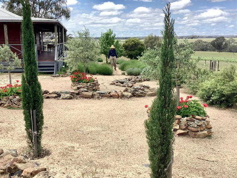Gilgraves Vineyard Farmstay - Maitland Accommodation 1