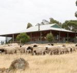 Gilgraves Vineyard Farmstay - Maitland Accommodation