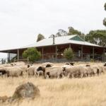 Gilgraves Vineyard Farmstay - Maitland Accommodation 0