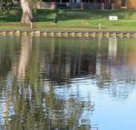 Wentworth Wharf B  B - Maitland Accommodation