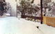 Lemon Tree Cottage - thumb 4
