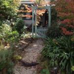 Lemon Tree Cottage - Maitland Accommodation 0