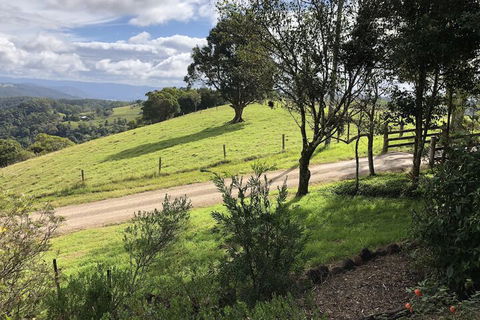 Top Cottage At Maleny - Maitland Accommodation 5