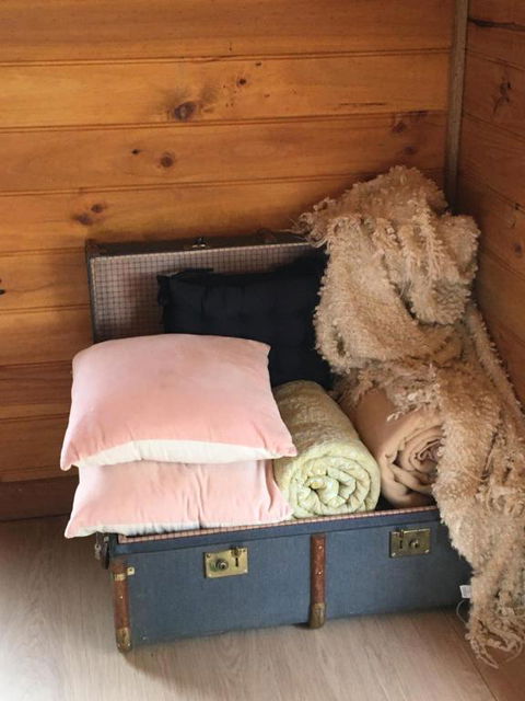 Springmead Rustic Cabin - Maitland Accommodation 5