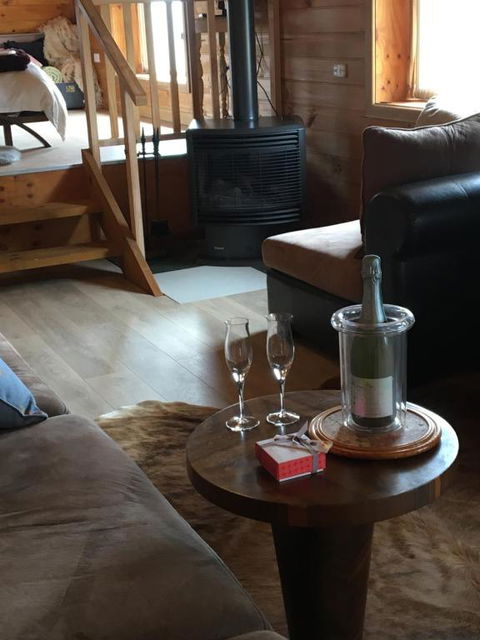 Springmead Rustic Cabin - Maitland Accommodation 1