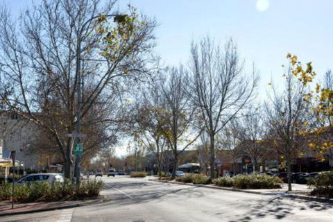 Carrington Charm CBD WiFi Parking - Maitland Accommodation 3