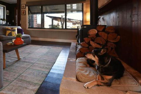 Millfield Eco Lodge With Views & Inside / Outside Hangouts - Maitland Accommodation 0