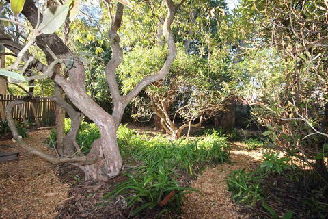 Stonewall Cottage & Studio - Maitland Accommodation 5