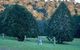 Escape To The Country - Enjoy The Firepit Or Explore Magical Bunya Mountains - thumb 0