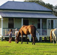 Cedar Glen Farmstay - Maitland Accommodation