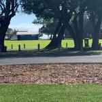 Yaringa Cottage...by The Sea - Maitland Accommodation 0
