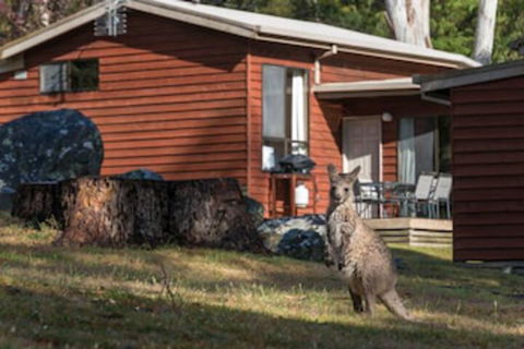 Wonderland Cottages - Maitland Accommodation 0
