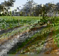 Renovated Cottage Aberdare Hunter Valley - Maitland Accommodation