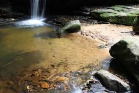 Bridal Falls Cottage - Maitland Accommodation 2