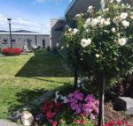 Velika - Maitland Accommodation