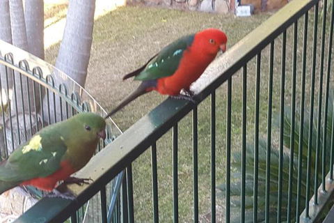 Serenity - Maitland Accommodation 5