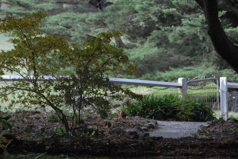 Toolebewang Farm Cottage - Maitland Accommodation 4