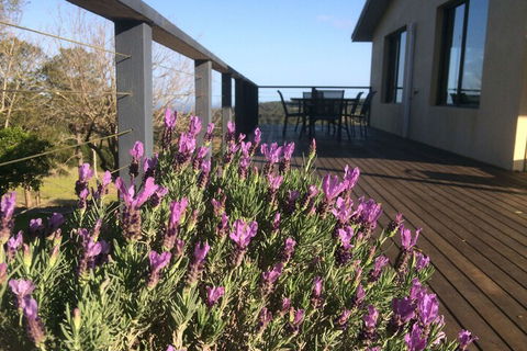 Maleny Mountain Retreat - Maitland Accommodation 2