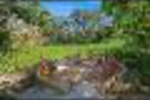 Retreat Apartment - Maitland Accommodation 3