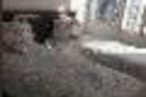 Central Coast Travellers Home - Maitland Accommodation 2