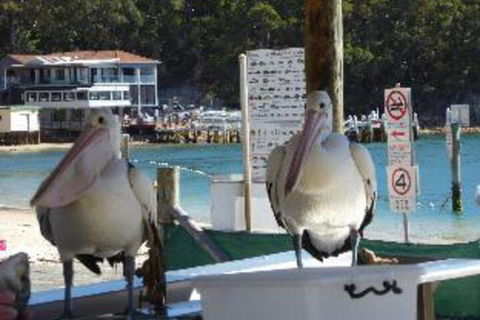 2 Bedroom Apartment Portside Unit 12 / 1 Donald Street FREE WIFI - Maitland Accommodation 2