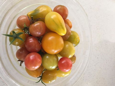 Campwin Beach House - Maitland Accommodation 2