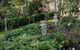 Laurel House - thumb 3
