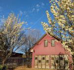 Magenta Cottage - Maitland Accommodation