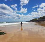 Arena Luxury Beachfront Apartment - Maitland Accommodation