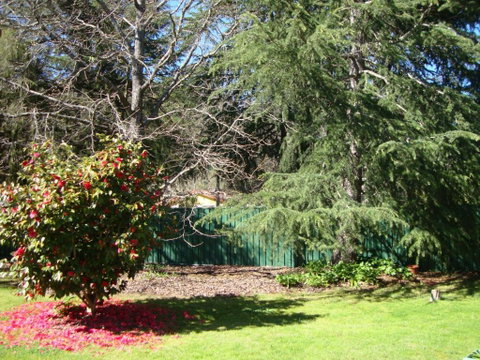 Ageri Holiday House - Maitland Accommodation 3