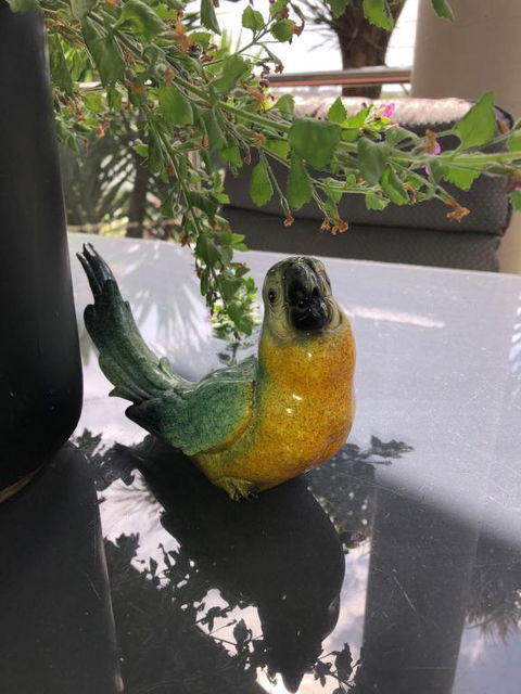 Exclusive Anglesea River Beach Apartment - Maitland Accommodation 1