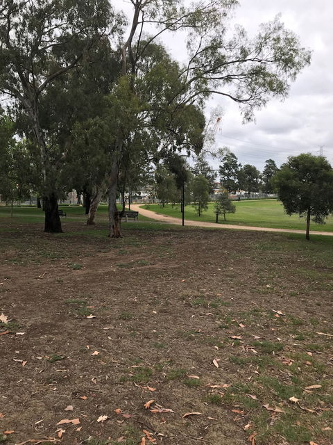 ReadySet Apartments On Altona - Maitland Accommodation 0