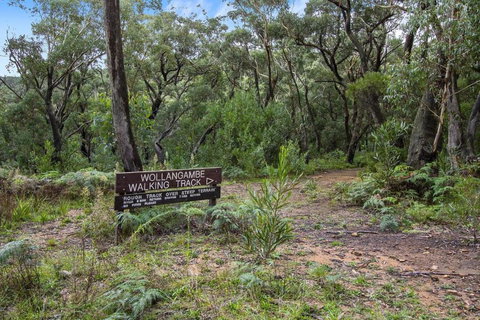 THE TEACHERS COTTAGE - Maitland Accommodation 5