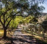 Capers Guesthouse Barn  Cottage - Maitland Accommodation