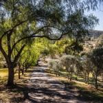Capers Guesthouse Barn & Cottage - Maitland Accommodation 0