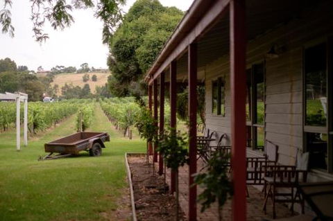 Fergusson Winery Homestead Accomodation - Maitland Accommodation 2