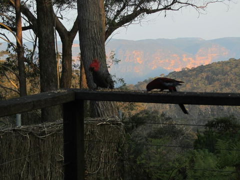 Canyon Cottage - Maitland Accommodation 6