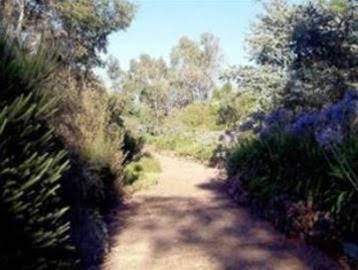 Kooringal Homestead - Maitland Accommodation 0