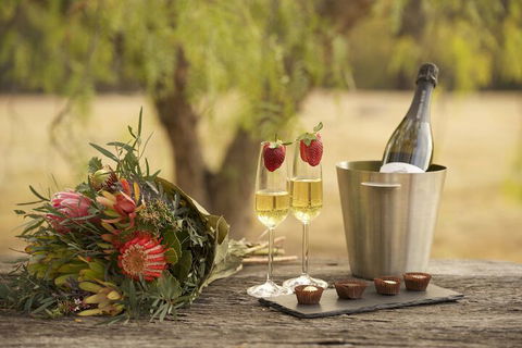Wine Country Villas - Maitland Accommodation 7