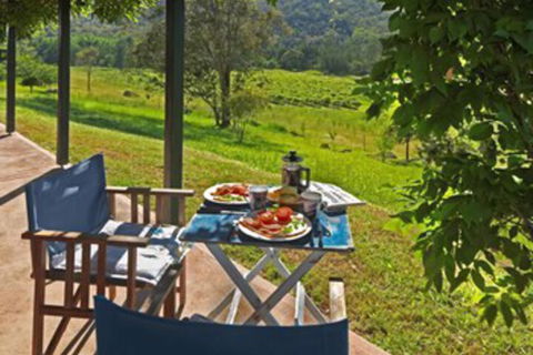 Cedar Creek Cottages - Maitland Accommodation 1