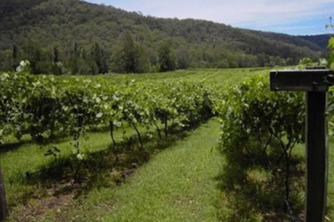 Cedar Creek Cottages - Maitland Accommodation 2