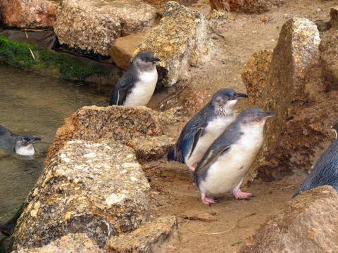 Close Encounters Bed & Breakfast - Maitland Accommodation 5