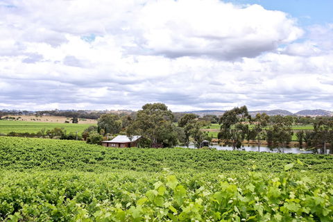 Stonewell Cottages & Vineyards - Maitland Accommodation 6