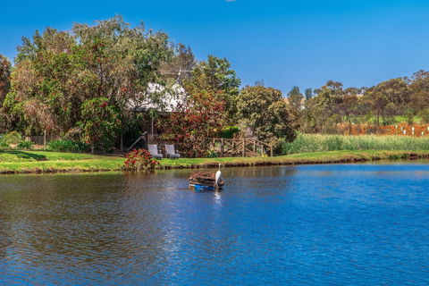 Stonewell Cottages & Vineyards - Maitland Accommodation 4